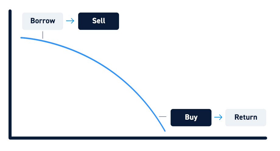 Borrow Process