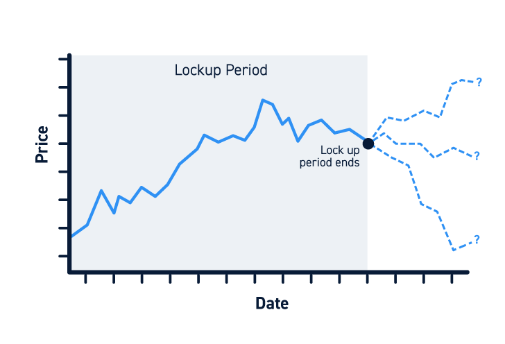IPO Lockup Period