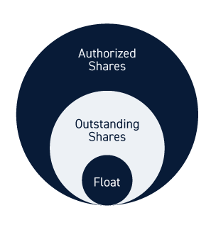 Stock Share Structure