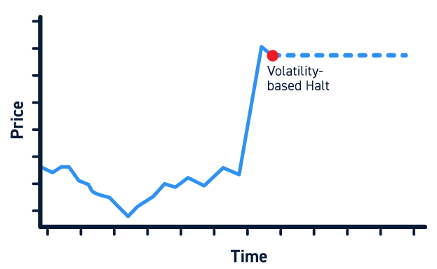 Volatility Stock Halt