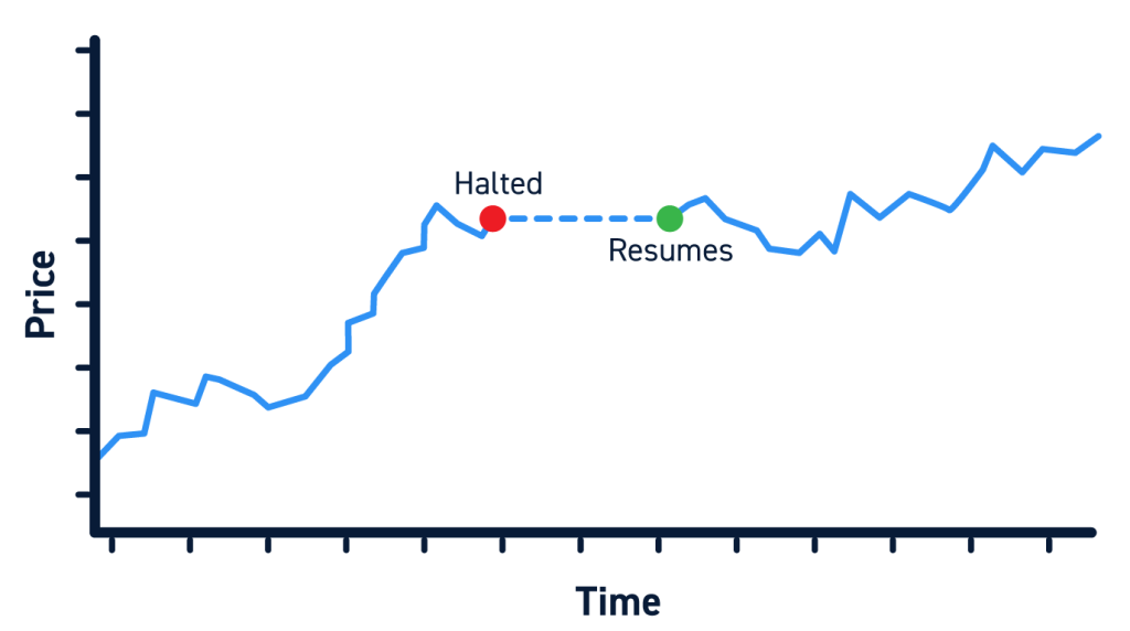 What is a Stock Halt