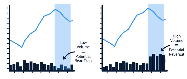 Bear Trap Volume