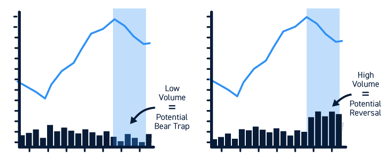 bear in bear trap