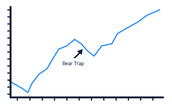 bear in bear trap